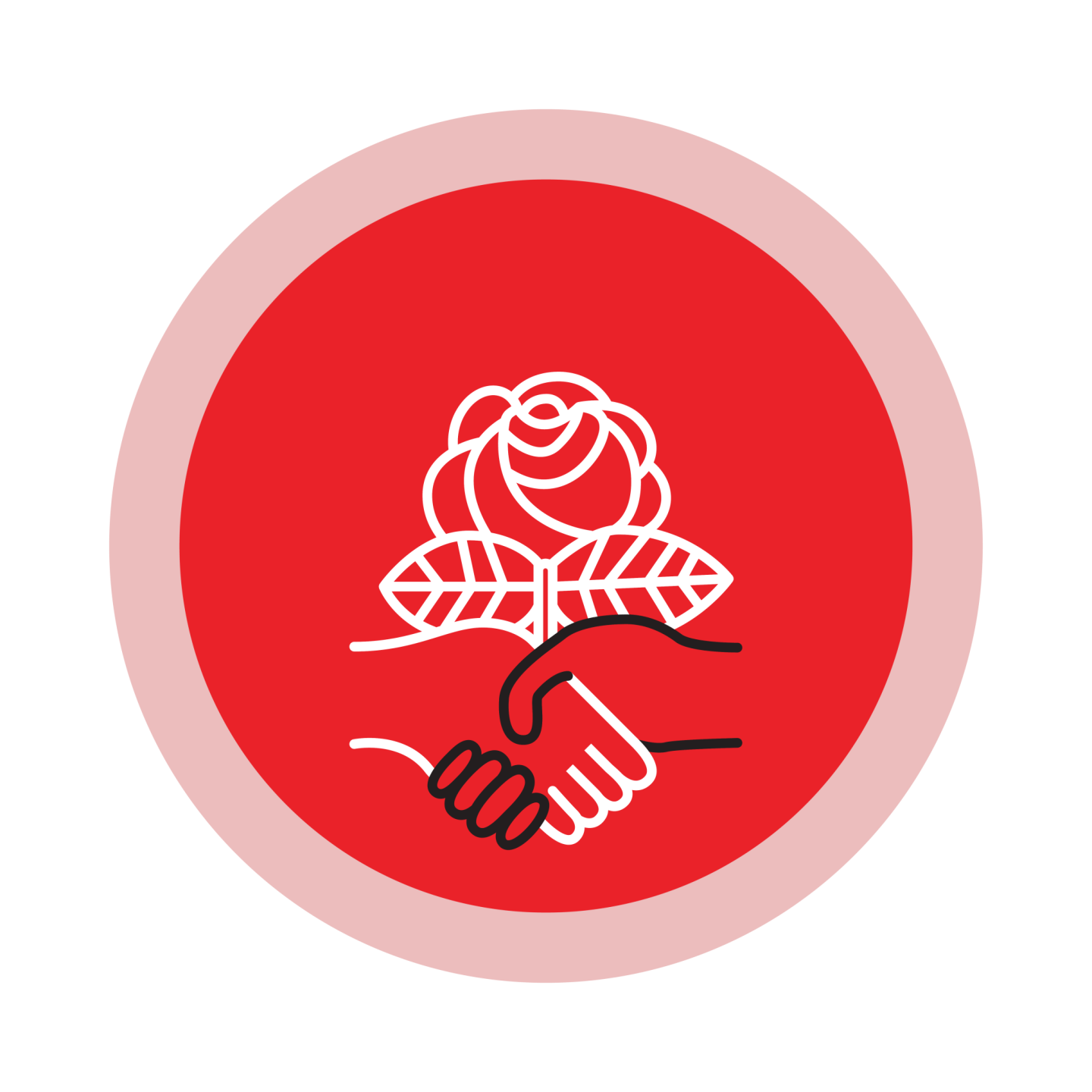 Santa Fe DSA